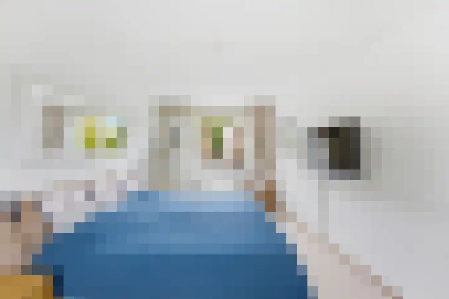 Cornelis Reeuwijkbocht 21 Rotterdam thumbnail 25