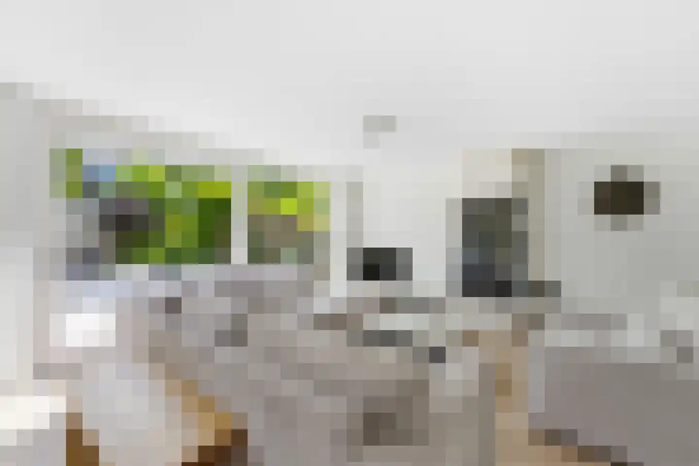 Cornelis Reeuwijkbocht 21 Rotterdam thumbnail 9
