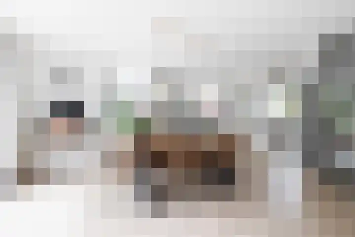 Cornelis Rienks de Boerstraat 115 Drachten thumbnail 11