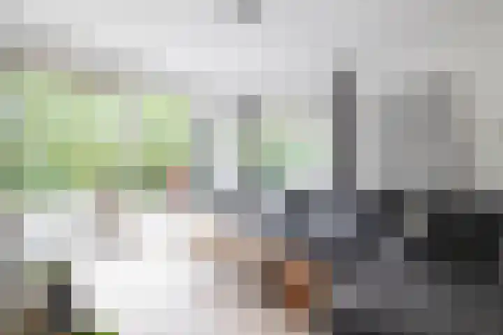 Cornelis Rienks de Boerstraat 115 Drachten thumbnail 13