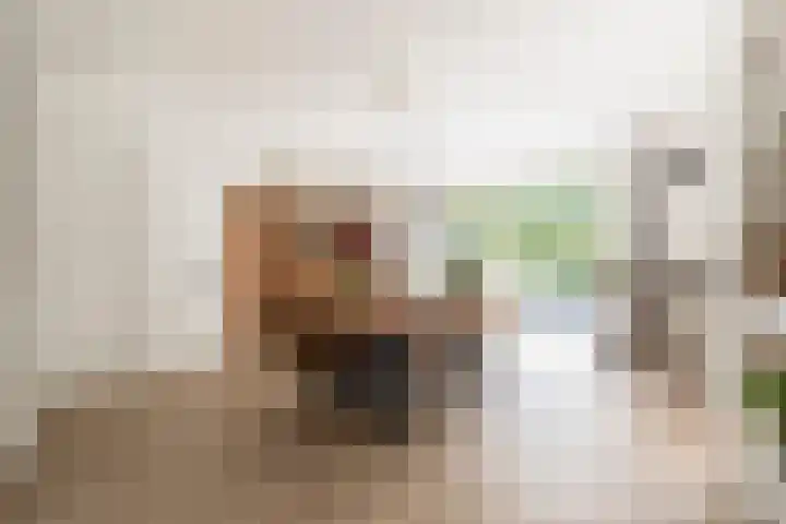 Cornelis Rienks de Boerstraat 115 Drachten thumbnail 17