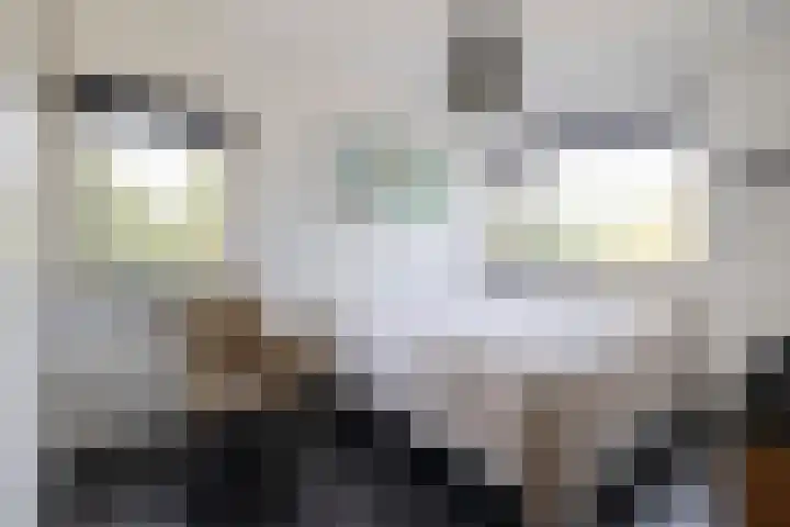 Cornelis Rienks de Boerstraat 115 Drachten thumbnail 31