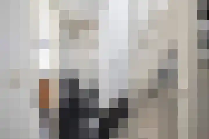 Cornelis Rienks de Boerstraat 115 Drachten thumbnail 37