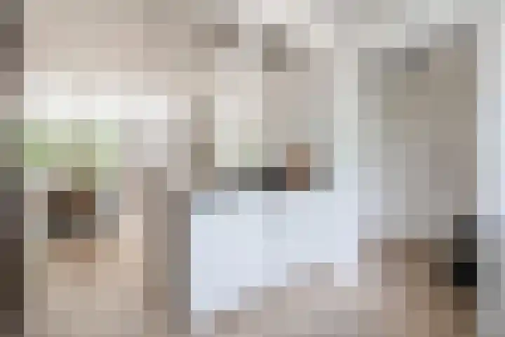 Cornelis Rienks de Boerstraat 115 Drachten thumbnail 4
