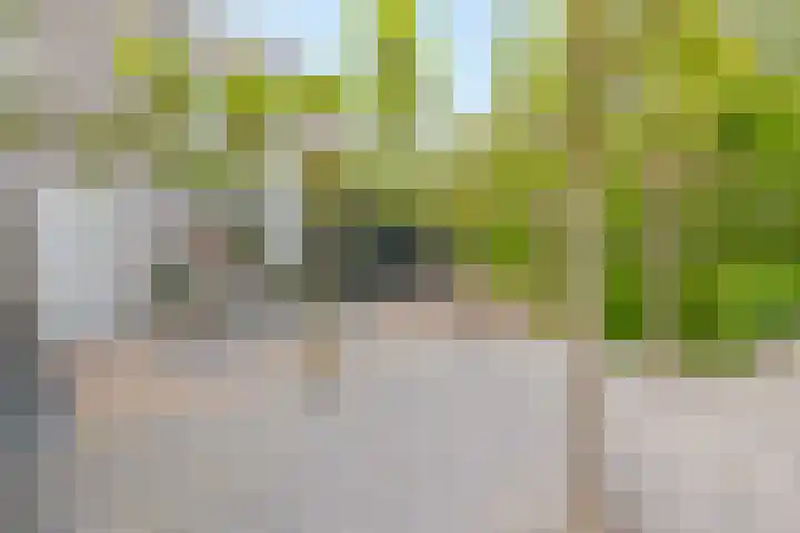Cornelis Rienks de Boerstraat 115 Drachten thumbnail 43