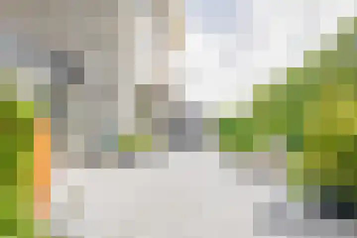 Cornelis Rienks de Boerstraat 115 Drachten thumbnail 53