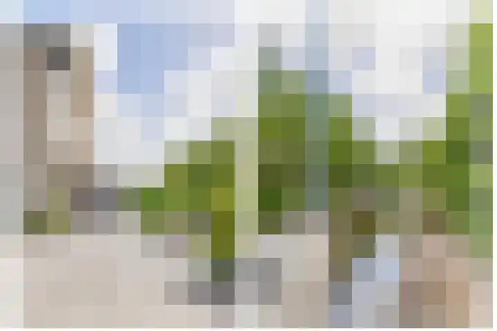 Cornelis Rienks de Boerstraat 115 Drachten thumbnail 59