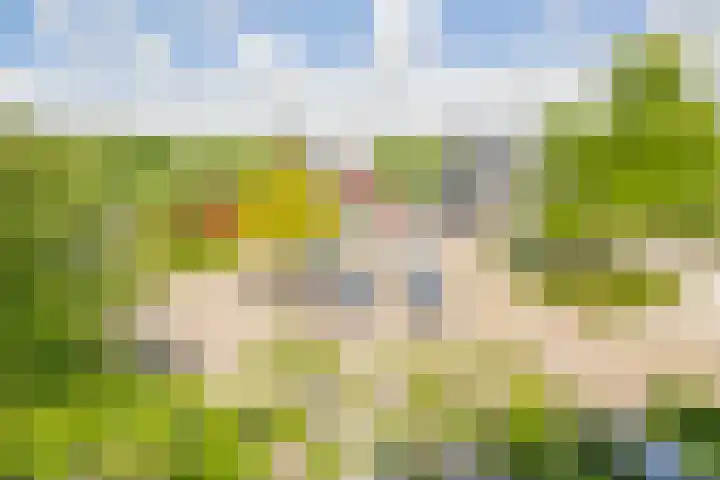 Cornelis Rienks de Boerstraat 115 Drachten thumbnail 64