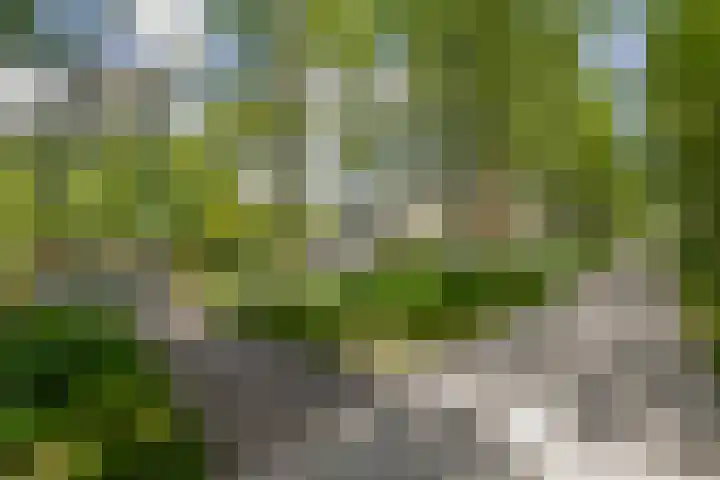 Cornelis Rienks de Boerstraat 115 Drachten thumbnail 66