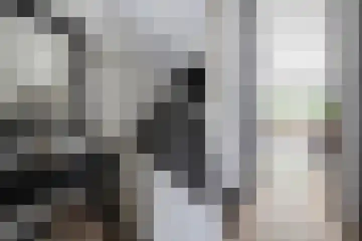 Cornelis Rienks de Boerstraat 115 Drachten thumbnail 8
