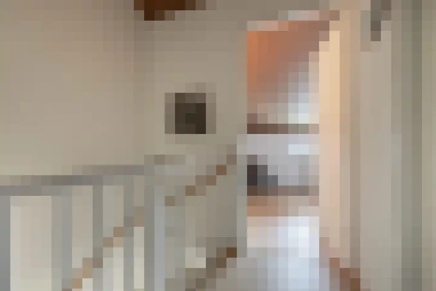 Cornelis Rienks de Boerstraat 21 Drachten thumbnail 24
