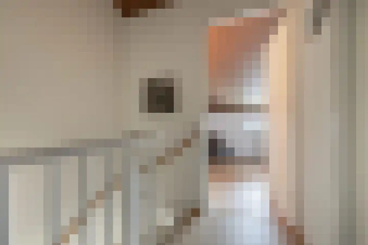 Cornelis Rienks de Boerstraat 21 Drachten thumbnail 24