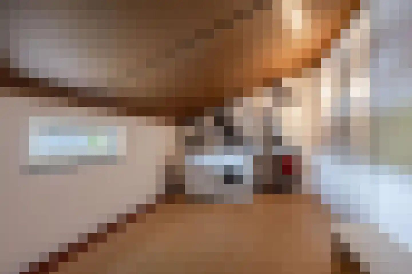 Cornelis Rienks de Boerstraat 21 Drachten thumbnail 27