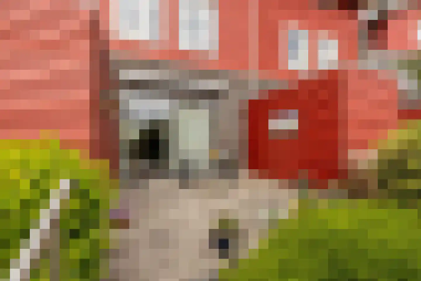 Cornelis Rienks de Boerstraat 21 Drachten thumbnail 29