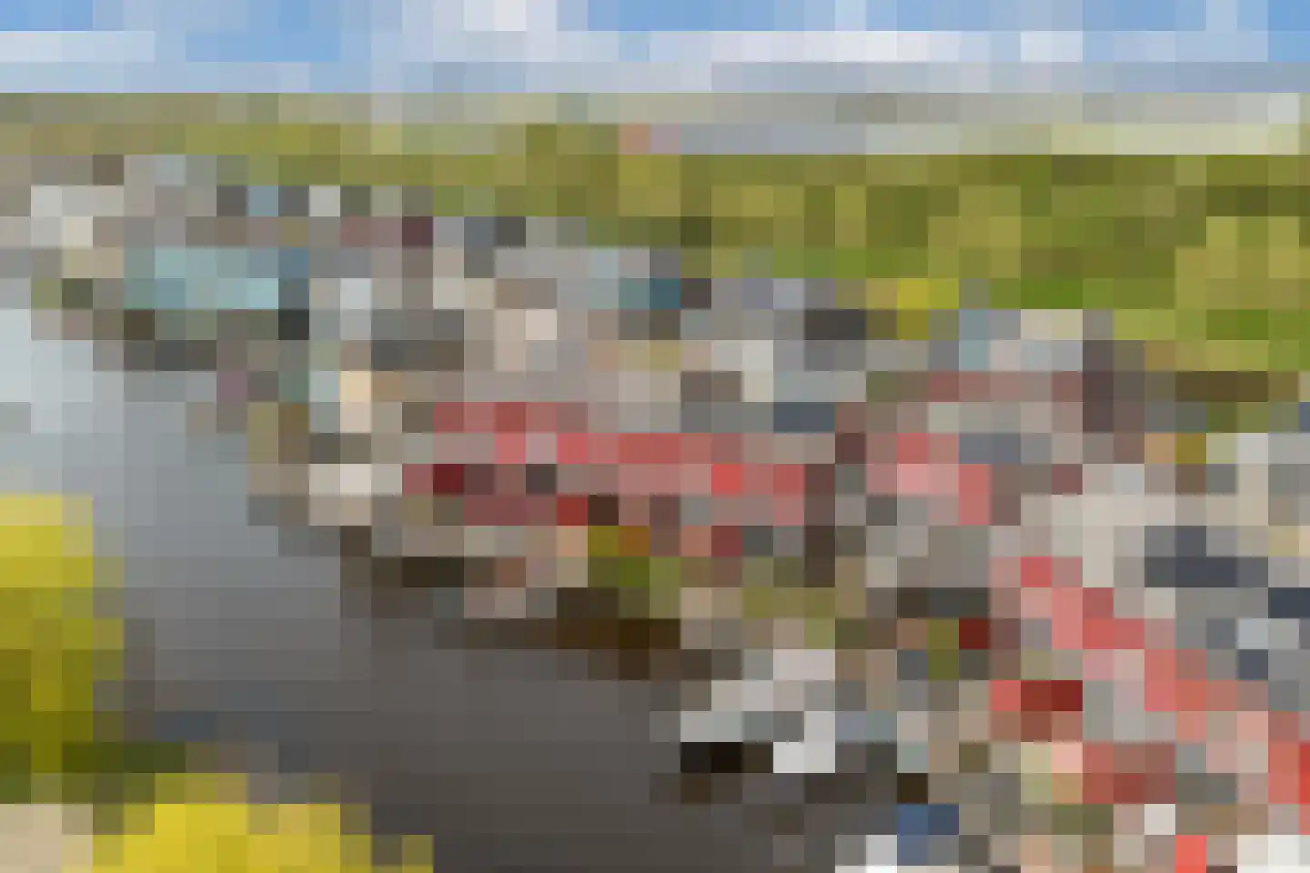 Cornelis Rienks de Boerstraat 21 Drachten thumbnail 38