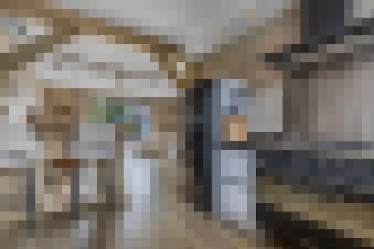 Cornelis Rienks de Boerstraat 35 Drachten thumbnail 20