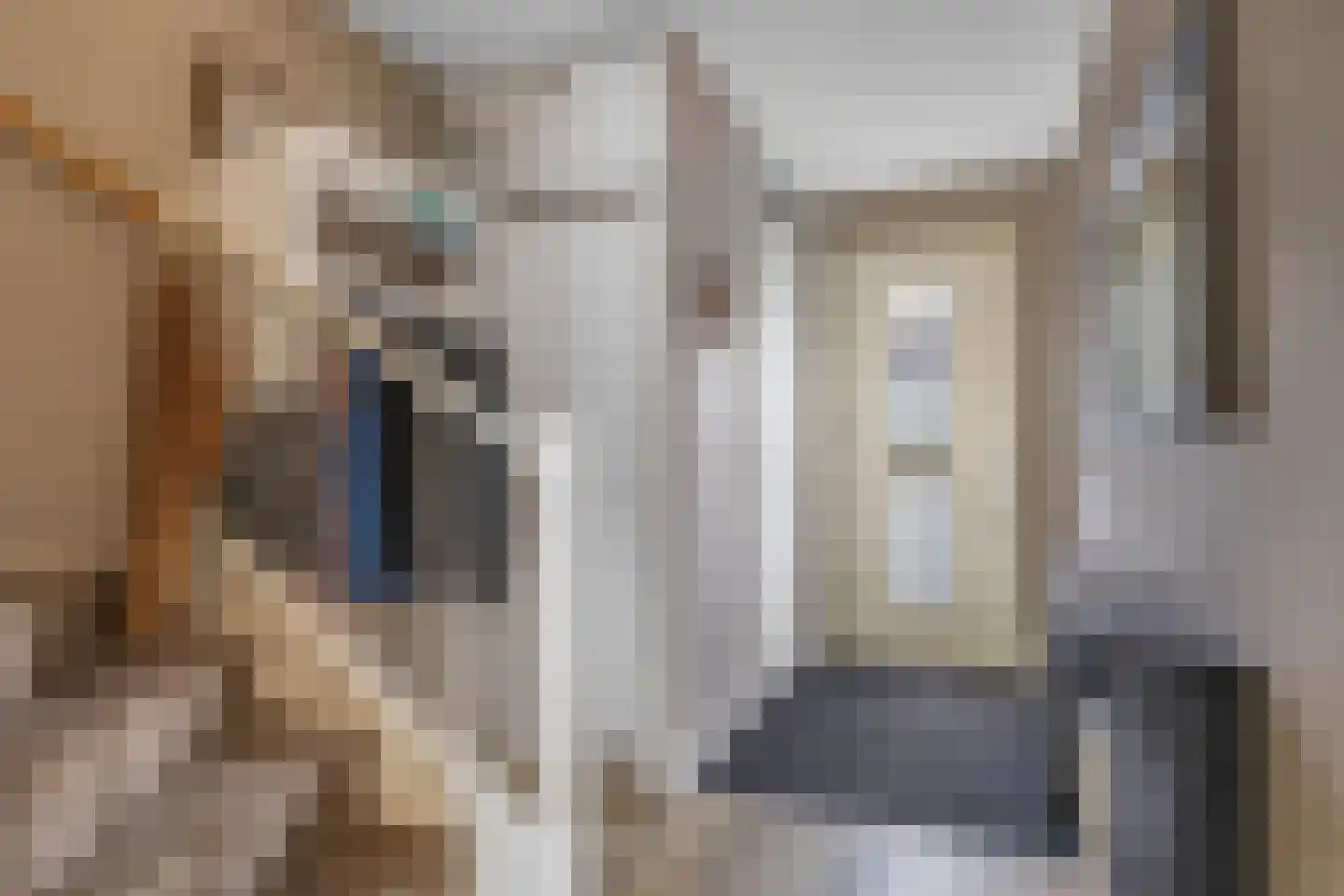 Cornelis Rienks de Boerstraat 35 Drachten thumbnail 21