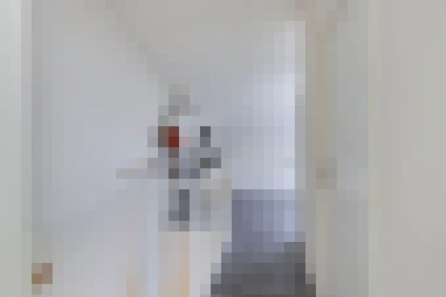 Cornelis Rienks de Boerstraat 35 Drachten thumbnail 30