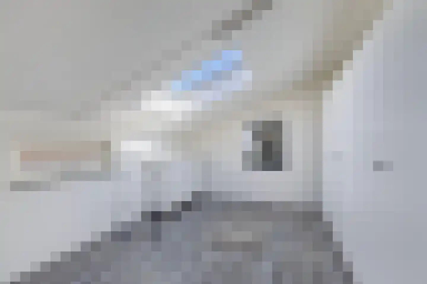 Cornelis Rienks de Boerstraat 35 Drachten thumbnail 32