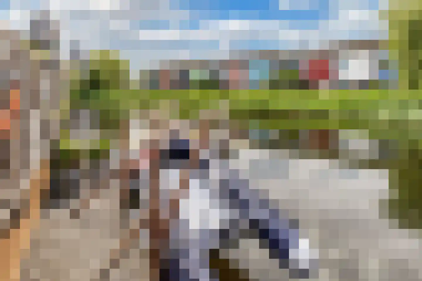 Cornelis Rienks de Boerstraat 35 Drachten thumbnail 42