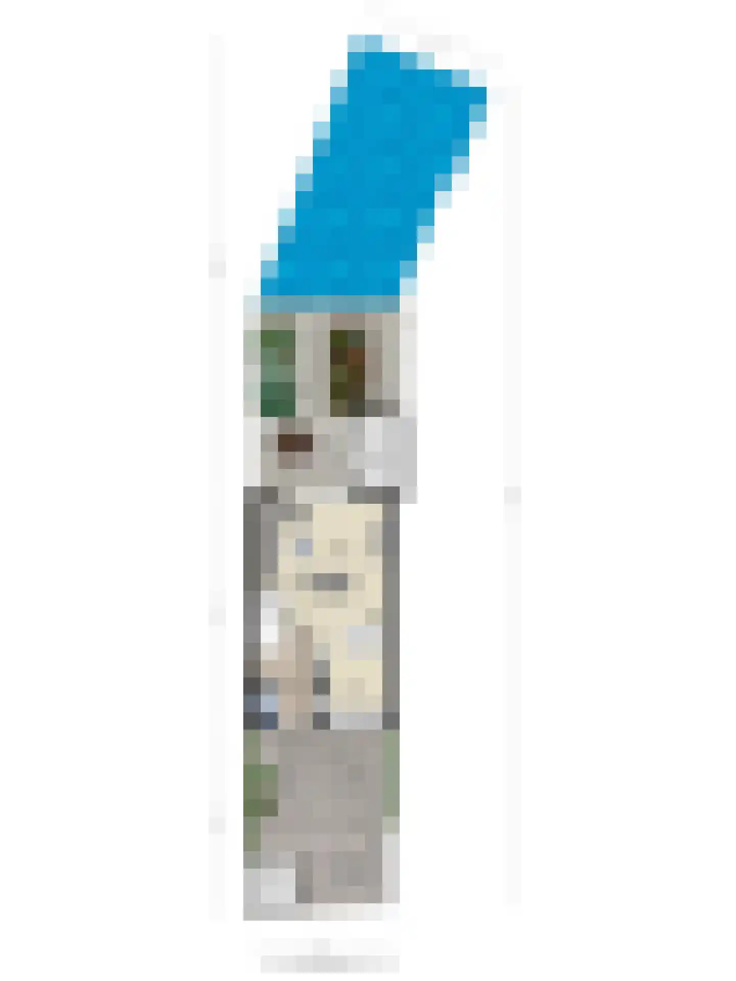 Cornelis Rienks de Boerstraat 49 Drachten thumbnail 36