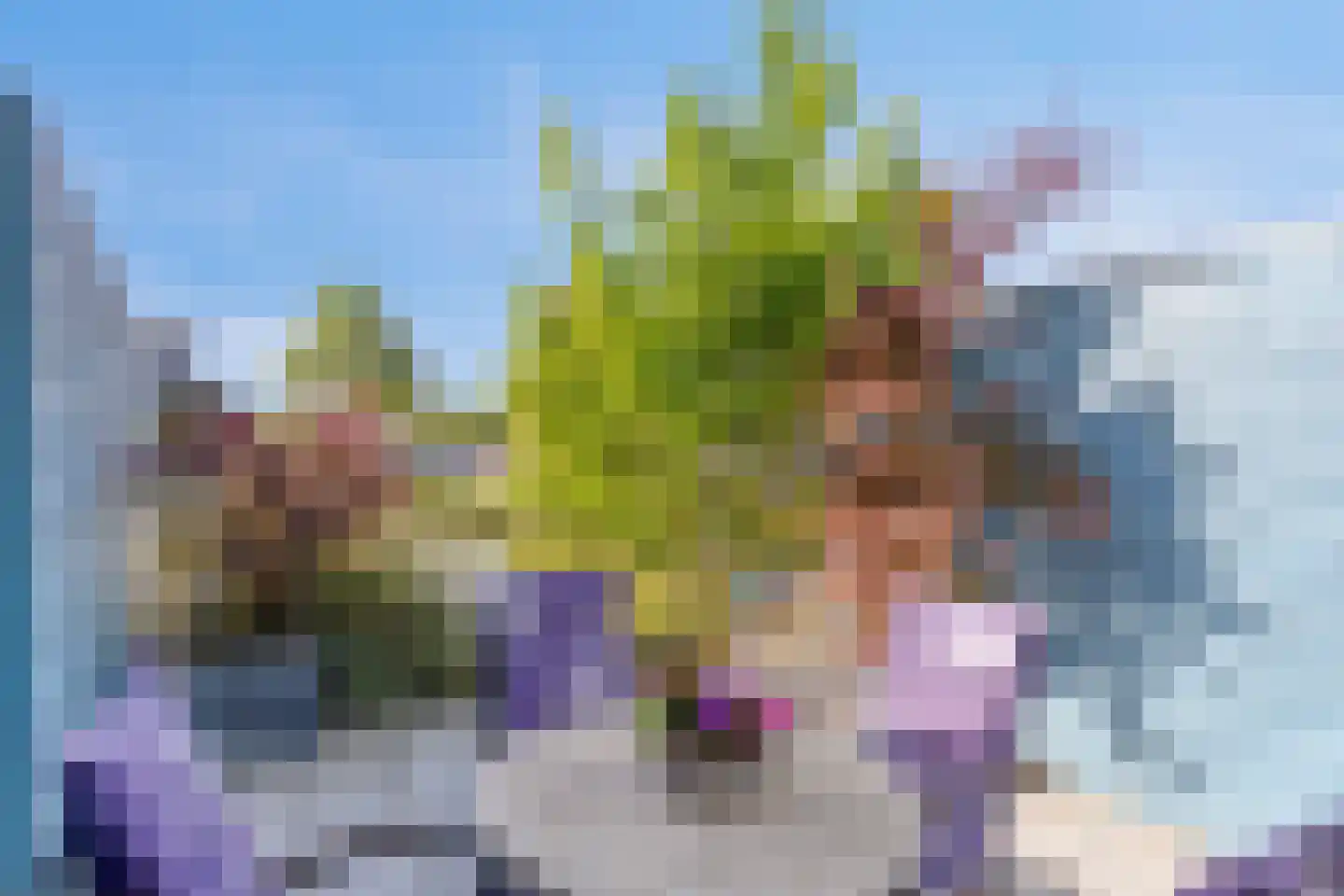 Cornelis Rienks de Boerstraat 49 Drachten thumbnail 6