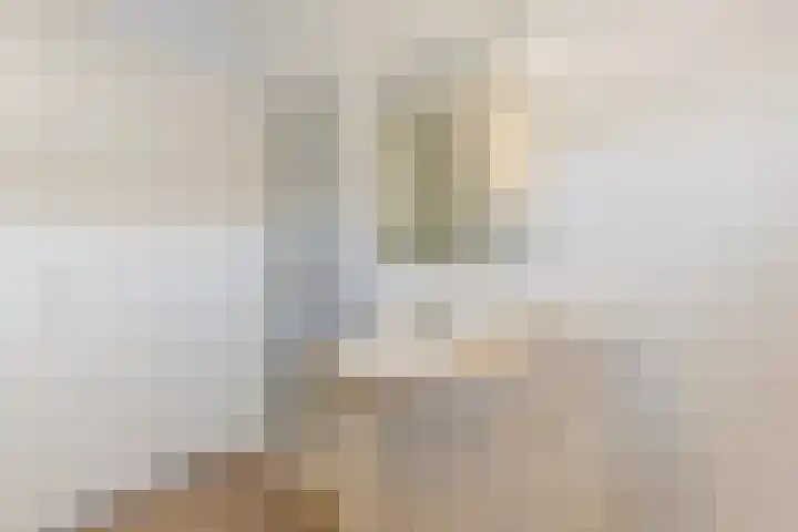 Cornelis Rienks de Boerstraat 51 Drachten thumbnail 22