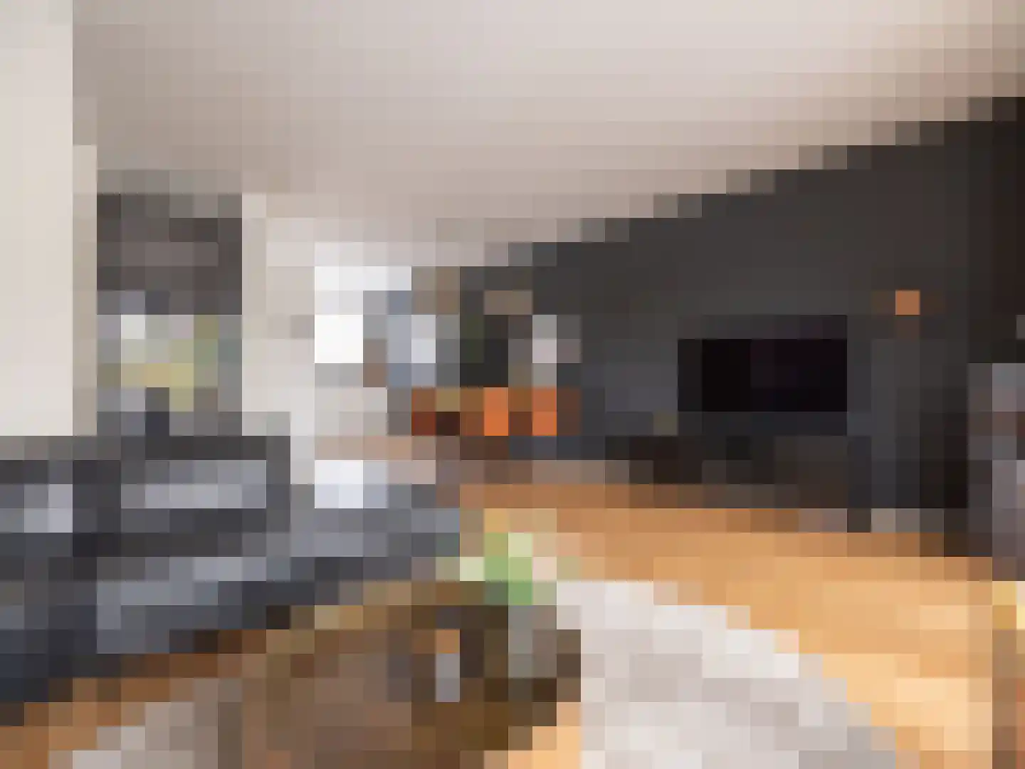 Cornelis Rienks de Boerstraat 7 Drachten thumbnail 13