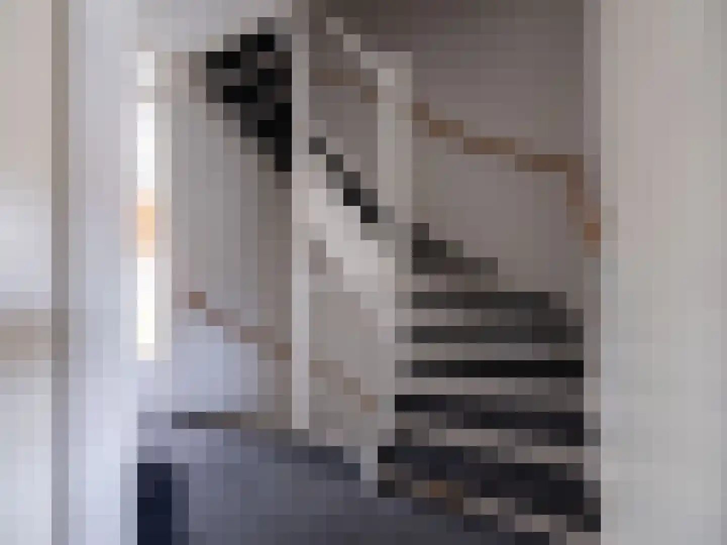 Cornelis Rienks de Boerstraat 7 Drachten thumbnail 18