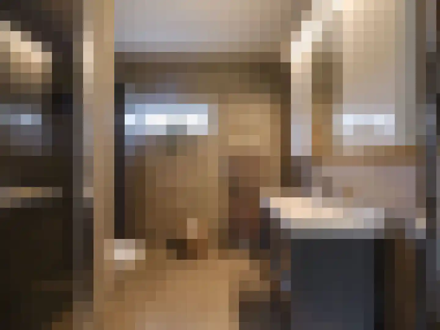 Cornelis Rienks de Boerstraat 7 Drachten thumbnail 22