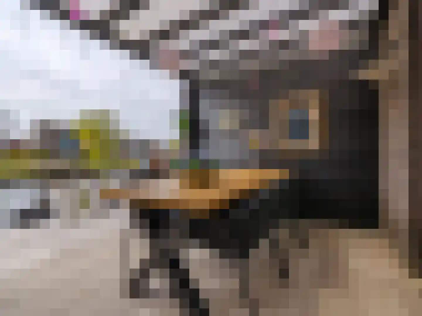 Cornelis Rienks de Boerstraat 7 Drachten thumbnail 33