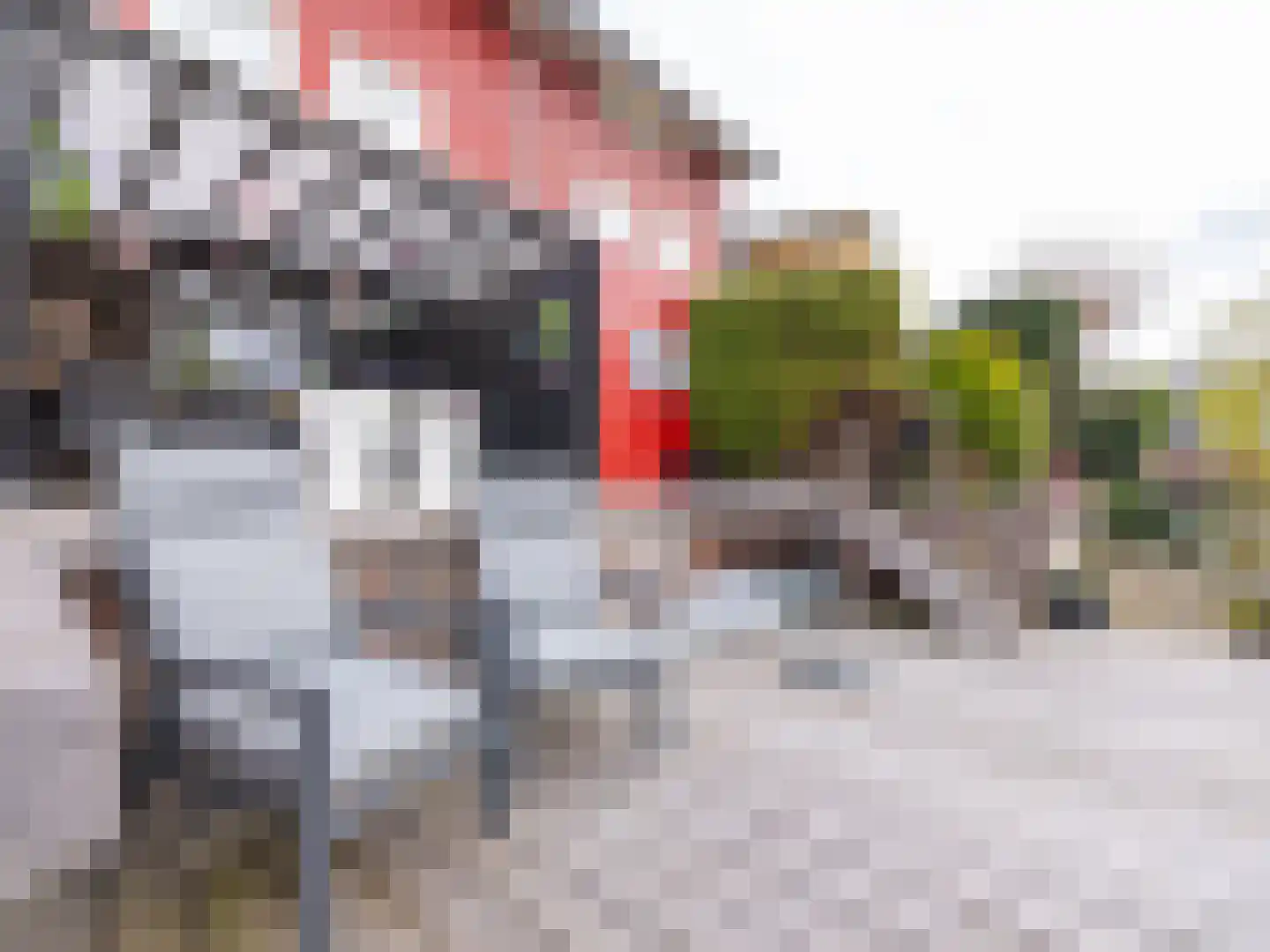 Cornelis Rienks de Boerstraat 7 Drachten thumbnail 38
