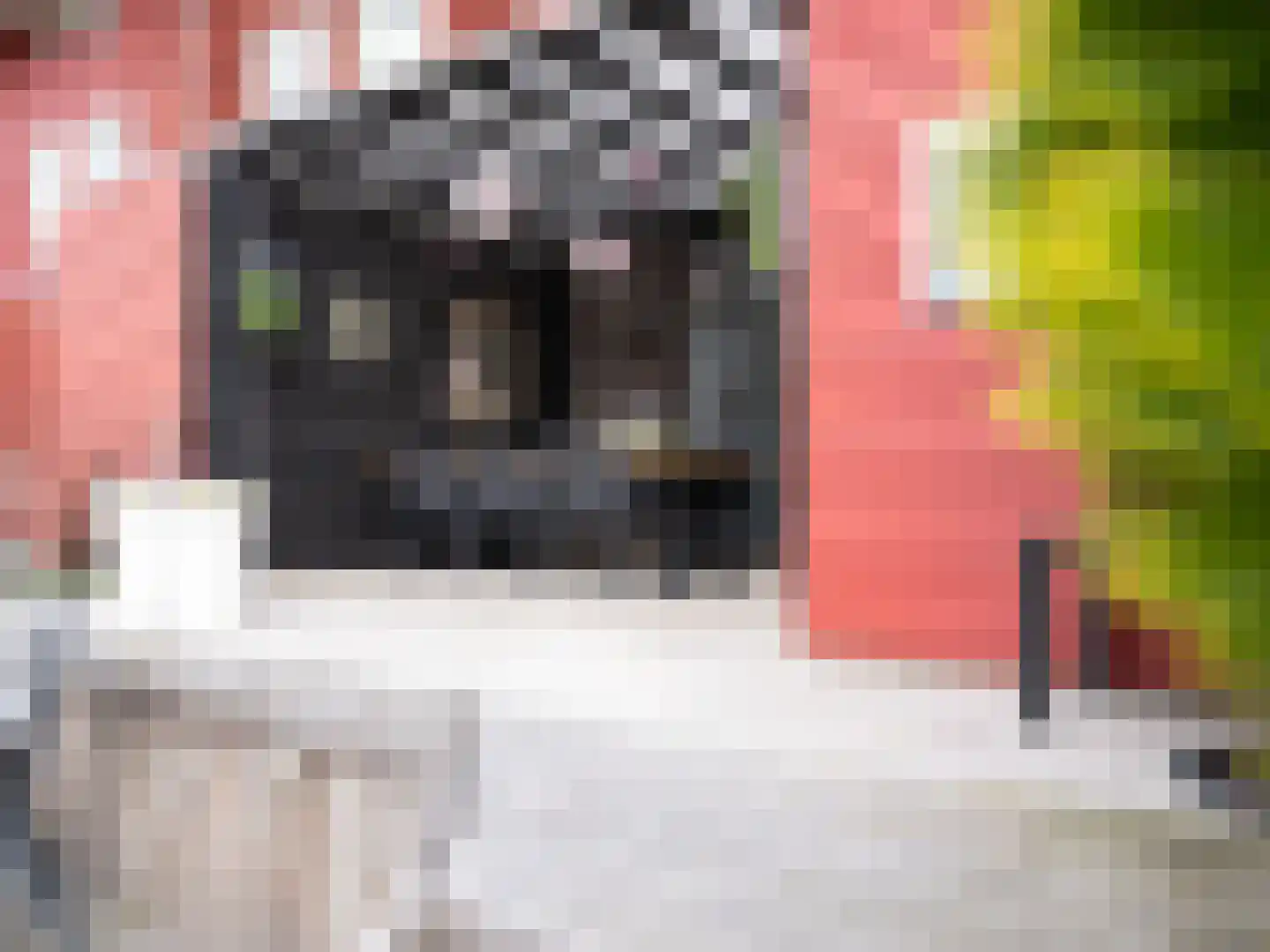 Cornelis Rienks de Boerstraat 7 Drachten thumbnail 39