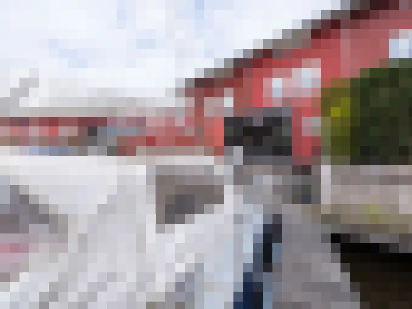 Cornelis Rienks de Boerstraat 7 Drachten thumbnail 40