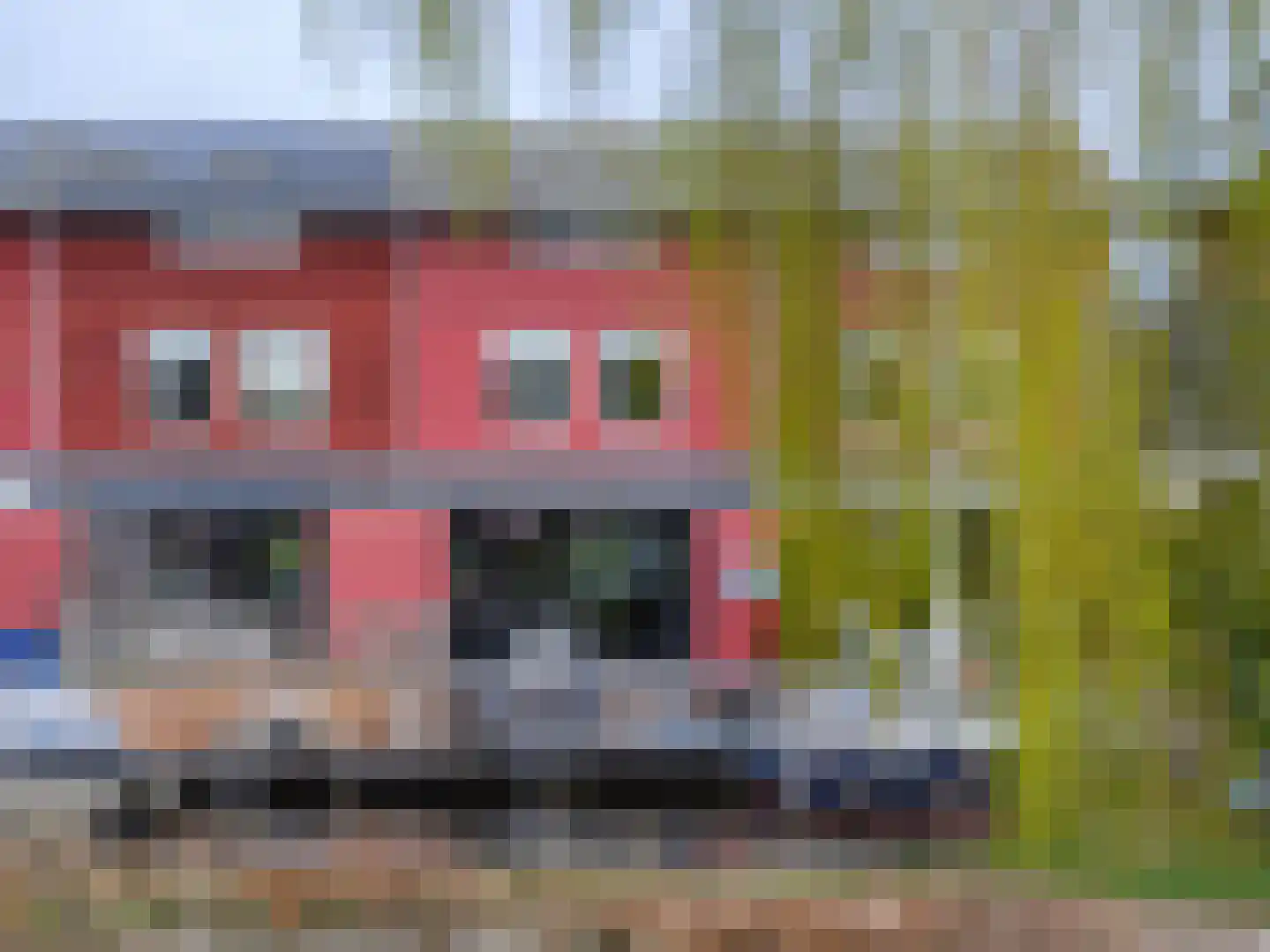 Cornelis Rienks de Boerstraat 7 Drachten thumbnail 44