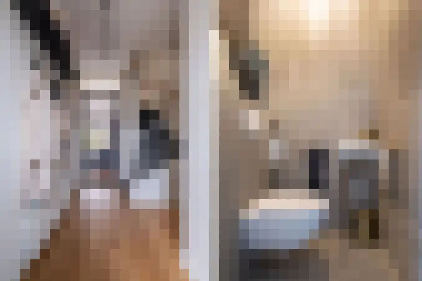Cornelis Rienks de Boerstraat 7 Drachten thumbnail 6