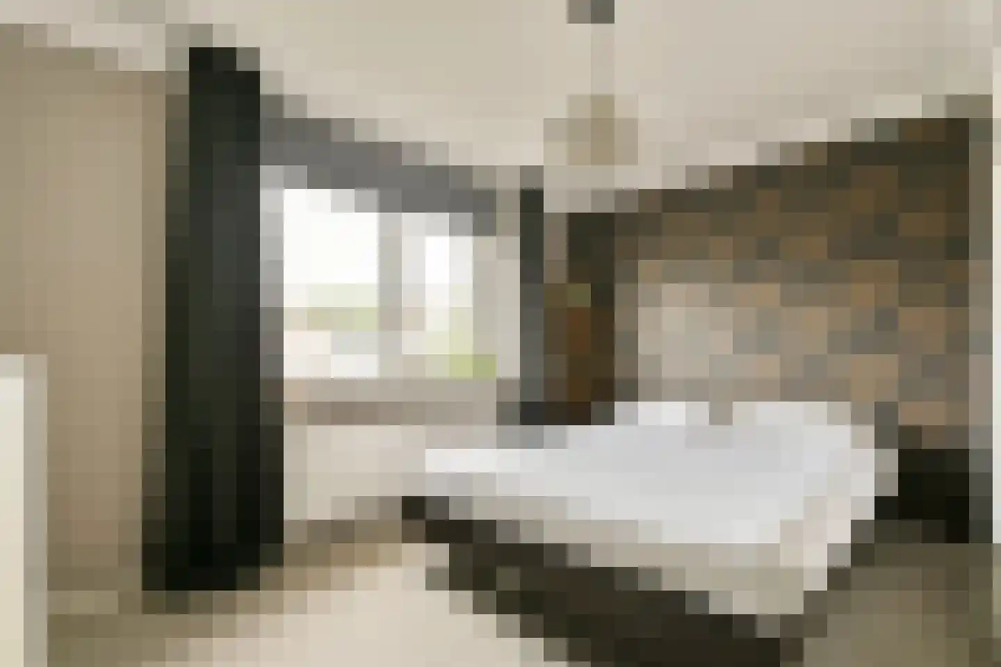 Cornelis Roobolstraat 18 Amsterdam thumbnail 11