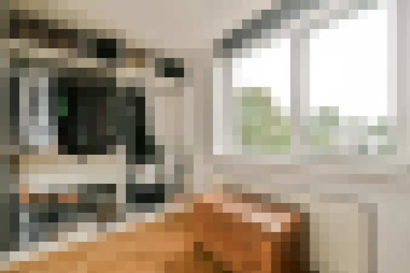 Cornelis Roobolstraat 18 Amsterdam thumbnail 19