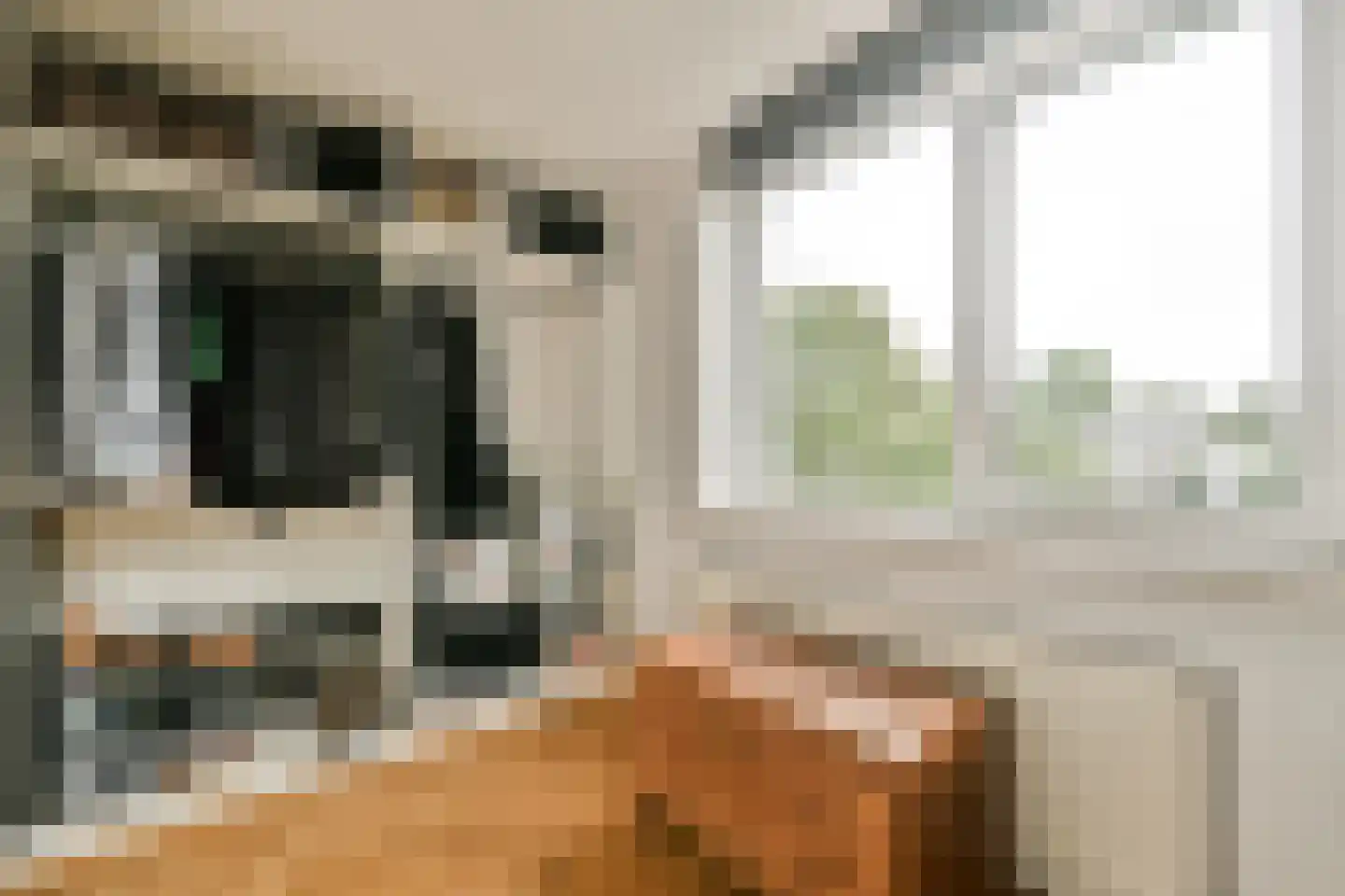 Cornelis Roobolstraat 18 Amsterdam thumbnail 19