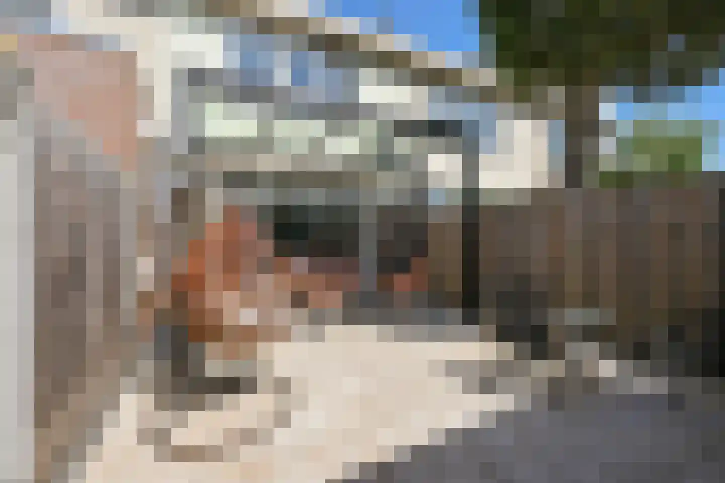 Cornelis Roobolstraat 41 Amsterdam thumbnail 12