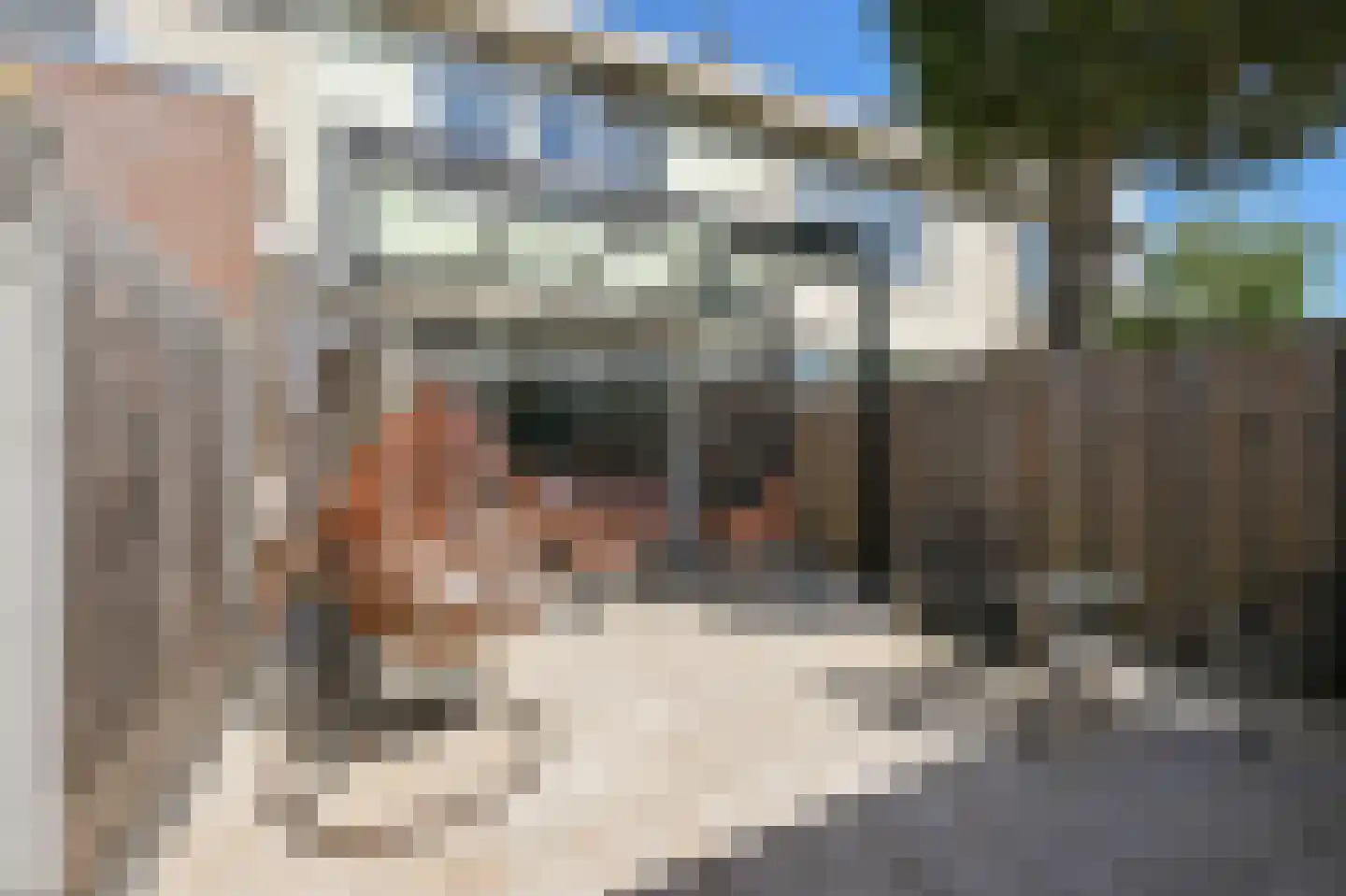 Cornelis Roobolstraat 41 Amsterdam thumbnail 12