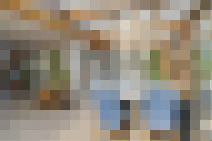Cornelis Roosstraat 9 Amsterdam thumbnail 21