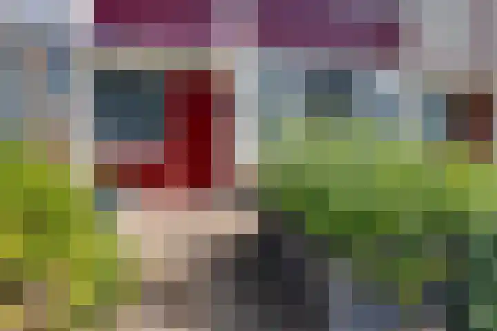 Cornelis Roosstraat 9 Amsterdam thumbnail 7