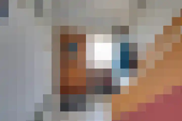 Cornelis Roosstraat 9 Amsterdam thumbnail 8