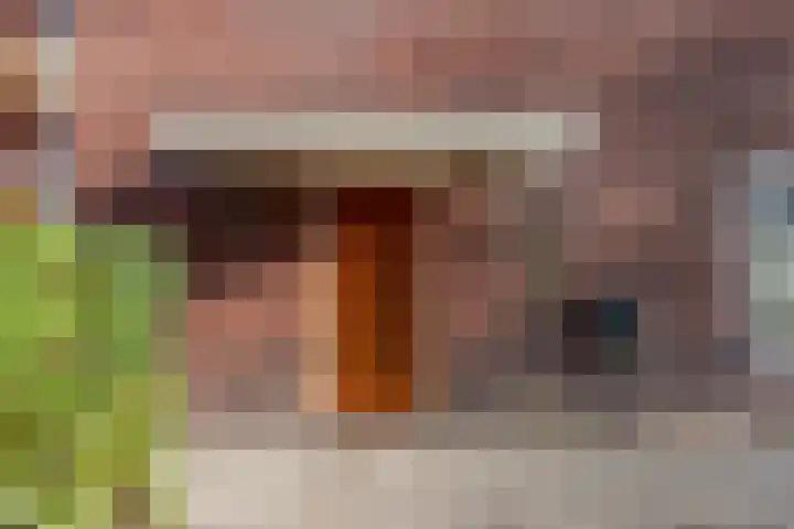 Cornelis Schellingerlaan 32 Zeist thumbnail 10
