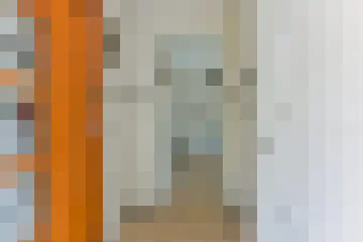 Cornelis Schellingerlaan 32 Zeist thumbnail 11
