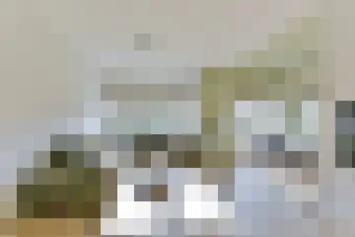 Cornelis Schellingerlaan 32 Zeist thumbnail 15