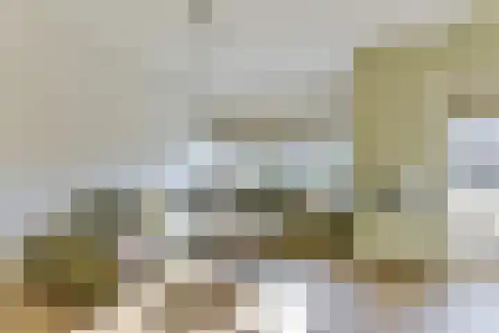 Cornelis Schellingerlaan 32 Zeist thumbnail 16