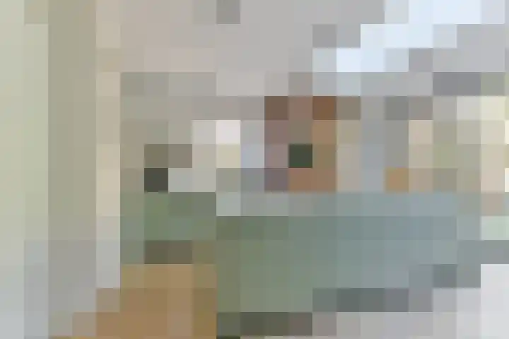 Cornelis Schellingerlaan 32 Zeist thumbnail 22