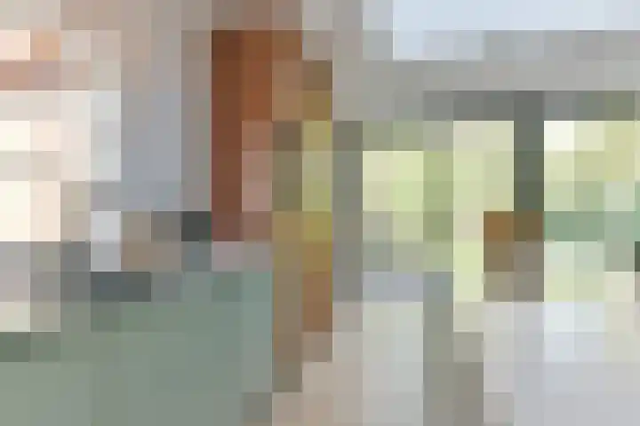 Cornelis Schellingerlaan 32 Zeist thumbnail 25